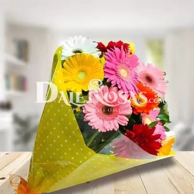 Bouquet de Gerberas Multicolor - Gerberas - Hay flores hermosas, delicadas y elegantes como lo son las gerberas, transmite tus sentimientos enviando este lindo ramillete de mano o bouquet elaborado con gerberas multicolor y follajes verdes (sin base). Te recomendamos acompañar este diseño con globos, chocolates, peluches o vinos para hacer aún más especial tu detalle, en el siguiente paso de la compra puedes agregar a tu orden estos productos si lo deseas. - Dalerosas