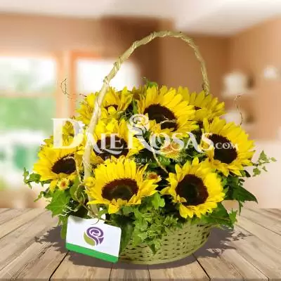 Canasta Floral con 12 Girasoles - Girasoles - No tienes que esperar una fecha especial para expresar tus sentimientos, cualquier ocasión es ideal para enviar esta hermosa canasta de mimbre que se compone de 12 girasoles y follajes verdes. Te recomendamos acompañar este diseño con globos, chocolates, peluches o vinos para hacer aún más especial tu detalle, en el siguiente paso de la compra puedes agregar a tu orden estos productos si lo deseas. - Dalerosas