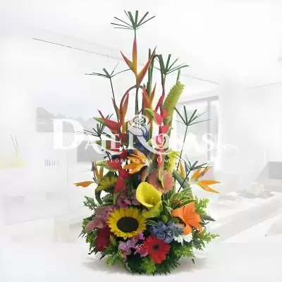 Diseño Floral Exótico Mi Flechazo - Flores Tropicales - Este delicado diseño, se asienta sobre una base de madera, su gran variedad de flores exóticas la componen gerberas, cartuchos, heliconias, aves del paraíso, lirios, maracas y follajes verdes. Expresa tus sentimientos por medio de este hermoso arreglo floral. Te recomendamos acompañar este diseño con globos, chocolates, peluches o vinos para hacer aún más especial tu detalle, en el siguiente paso de la compra puedes agregar a tu orden estos productos si lo deseas. - Dalerosas
