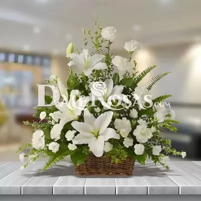 Diseño Fúnebre Piedad - Fúnebres - Este delicado y sobrio diseño floral es ideal para expresar tu más sentido pésame, está elaborado con lirios blancos, margaritas o clavellinas blancas y follajes verdes. - Dalerosas